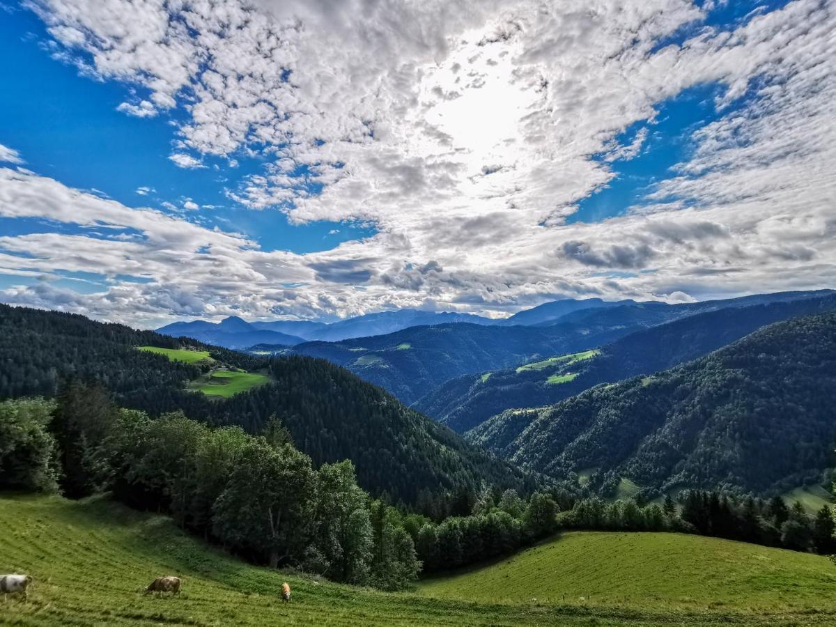 Farmstay&Glamping Visocnik Ljubno Exterior photo