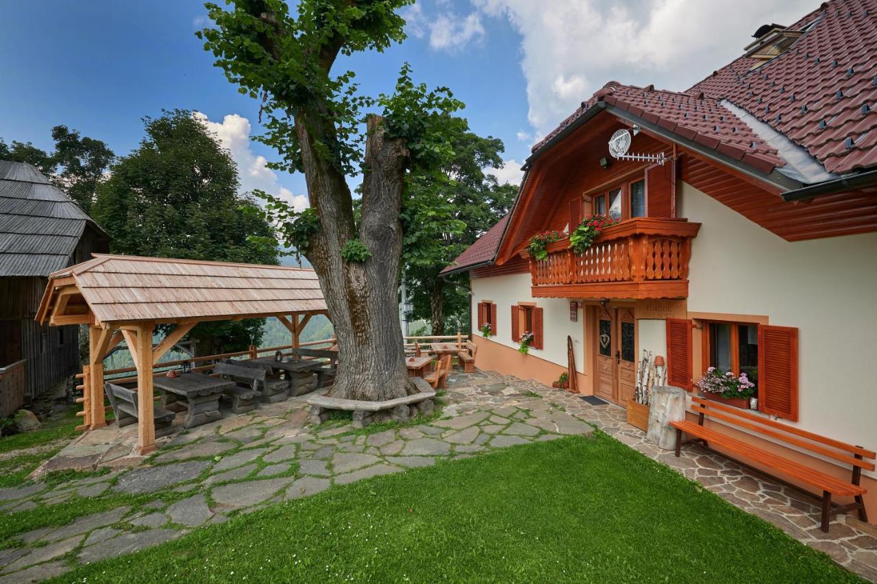 Farmstay&Glamping Visocnik Ljubno Exterior photo
