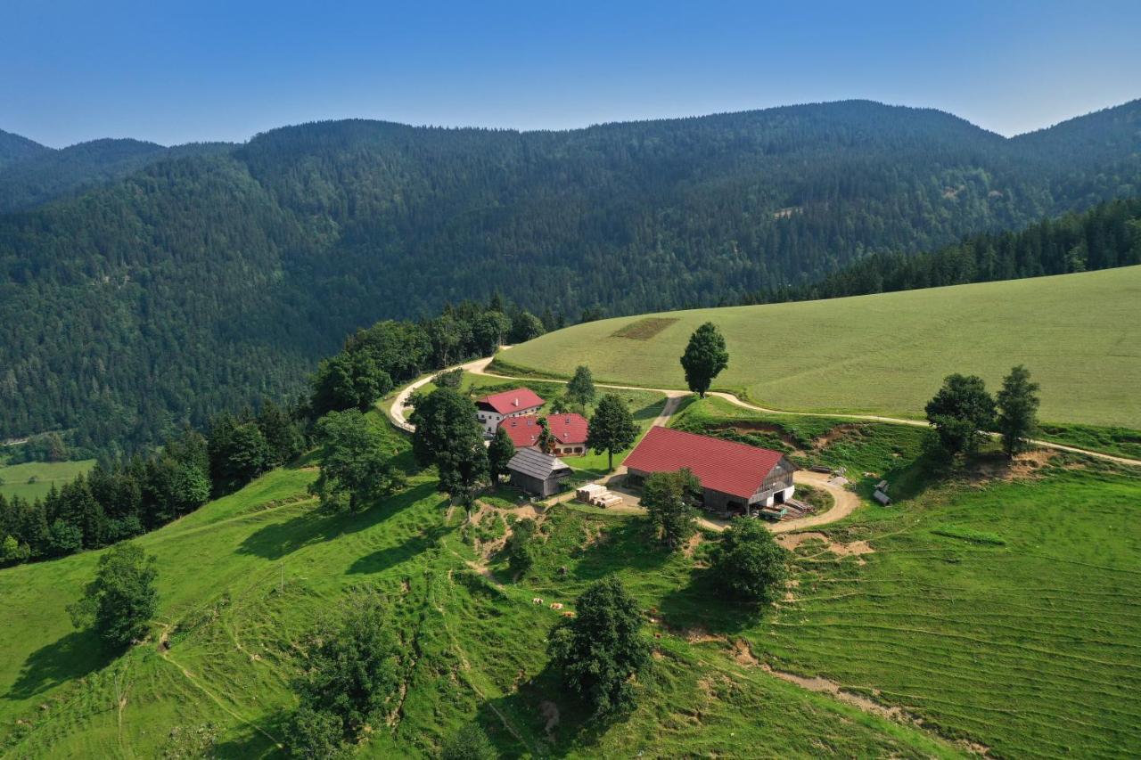 Farmstay&Glamping Visocnik Ljubno Exterior photo